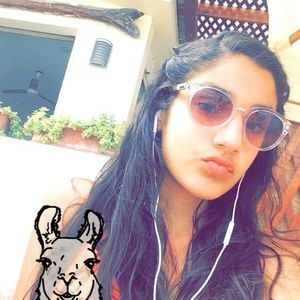 Meet your Posher, Katie